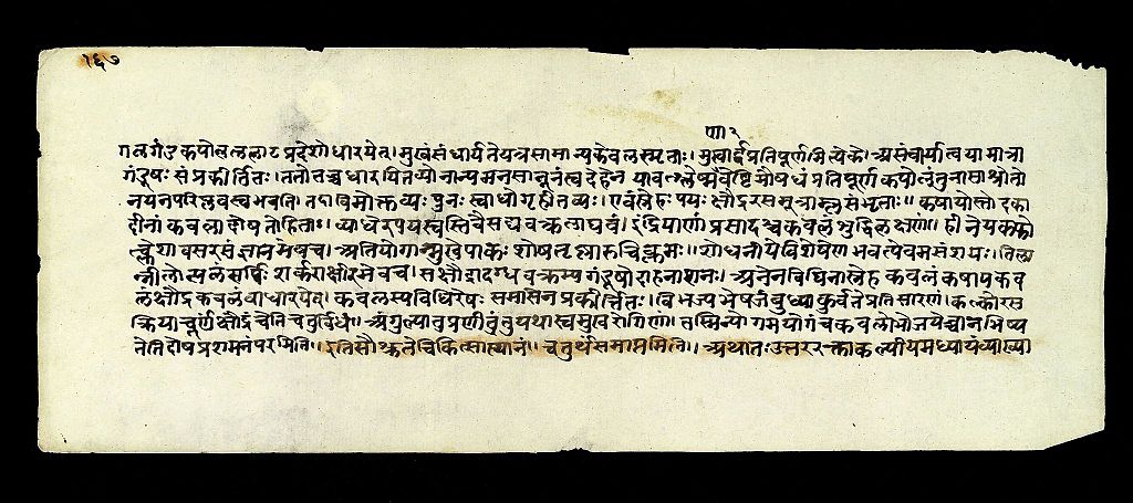 Page of text from the Susrutasamhita