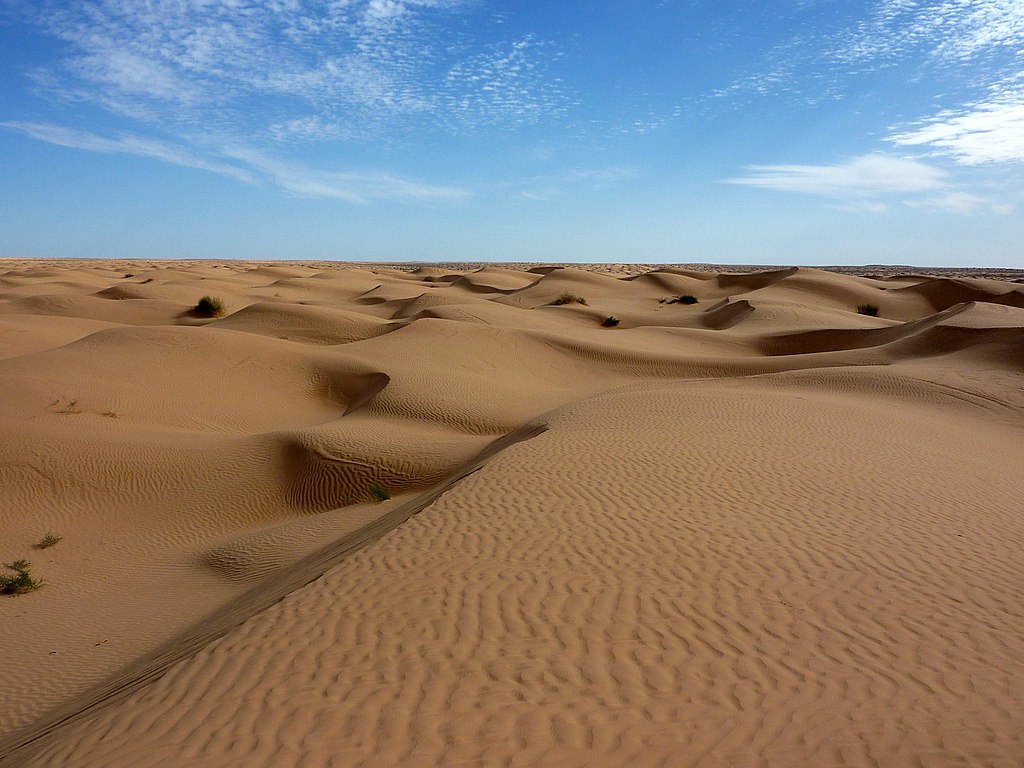 Sahara 3